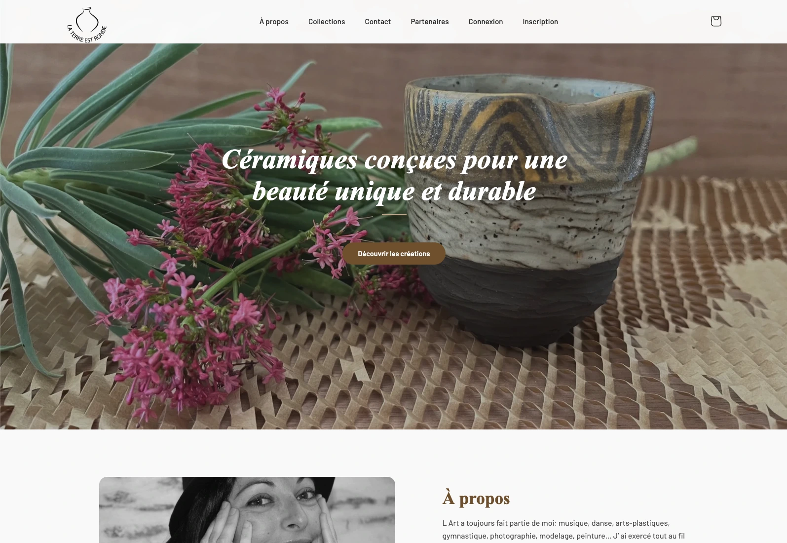 Aperçu du site vitrine La Terre est Ronde